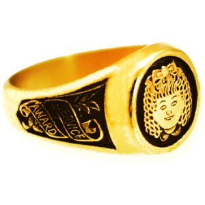 GOLDILOCKS Rounded Signet Ring